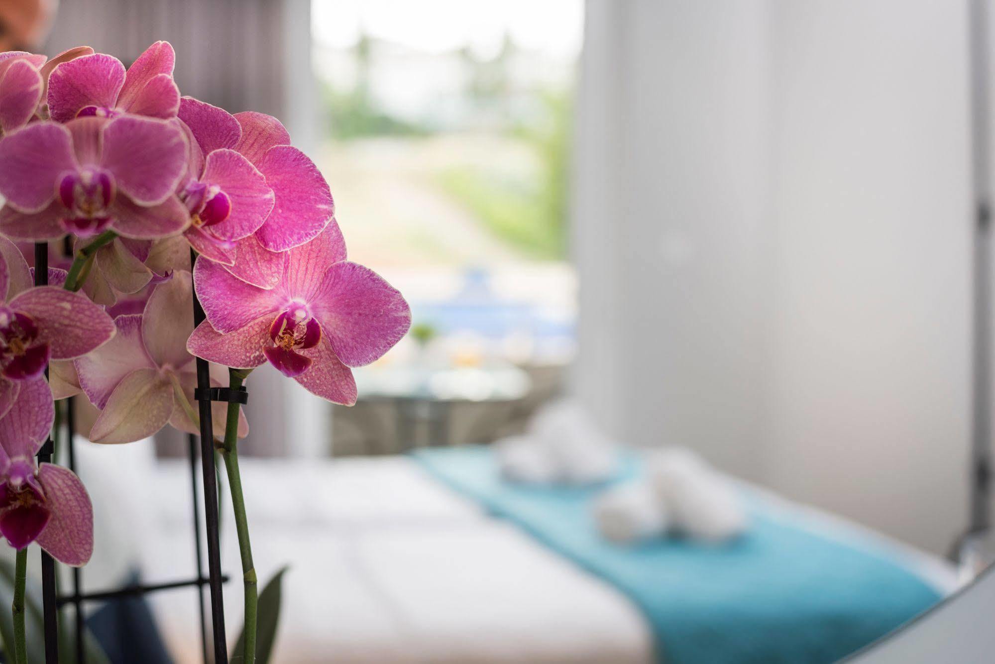 Irini Stalos Apartments ภายนอก รูปภาพ